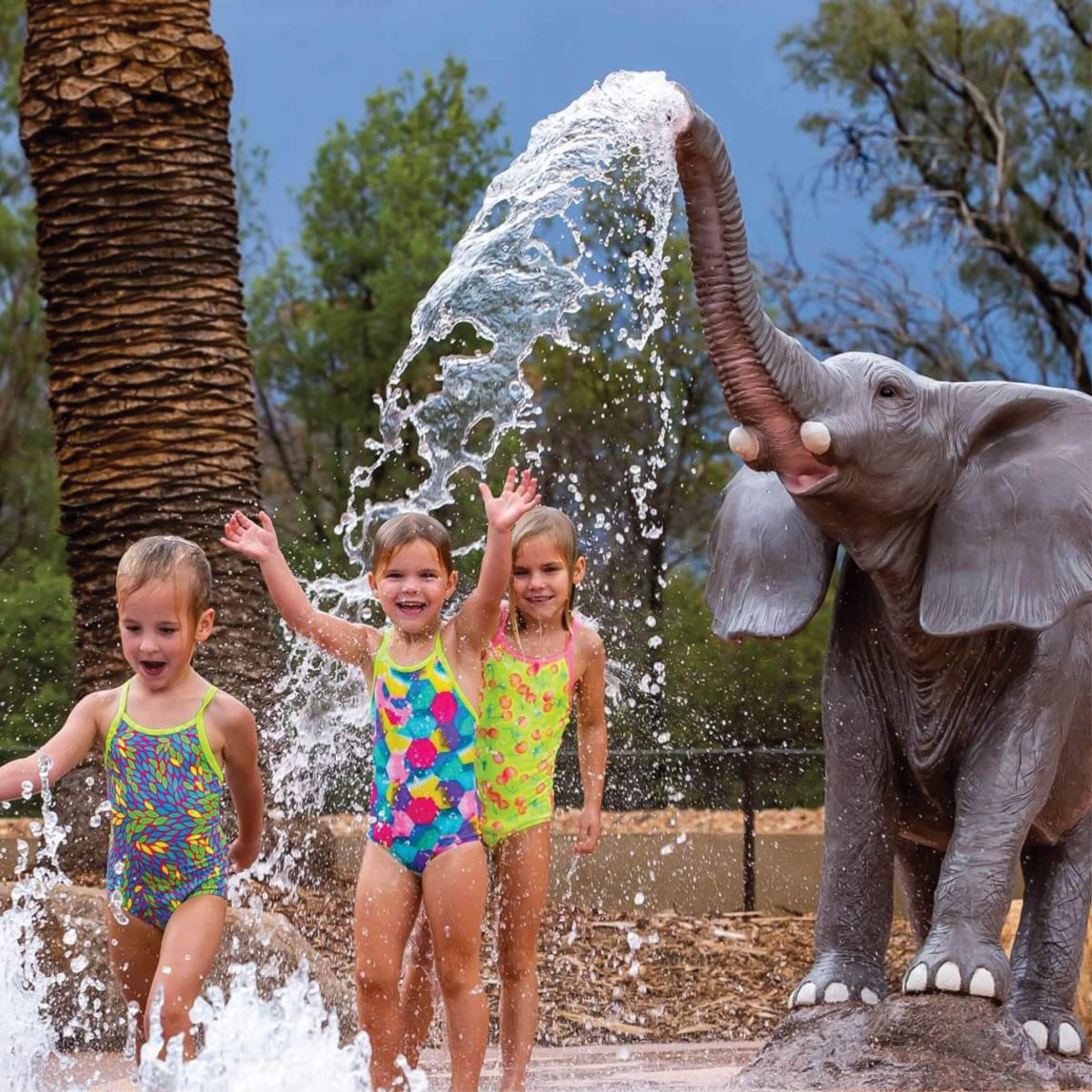 Natureworks Australia Elephant Spirting water at Dubbo Western Plains Zoo