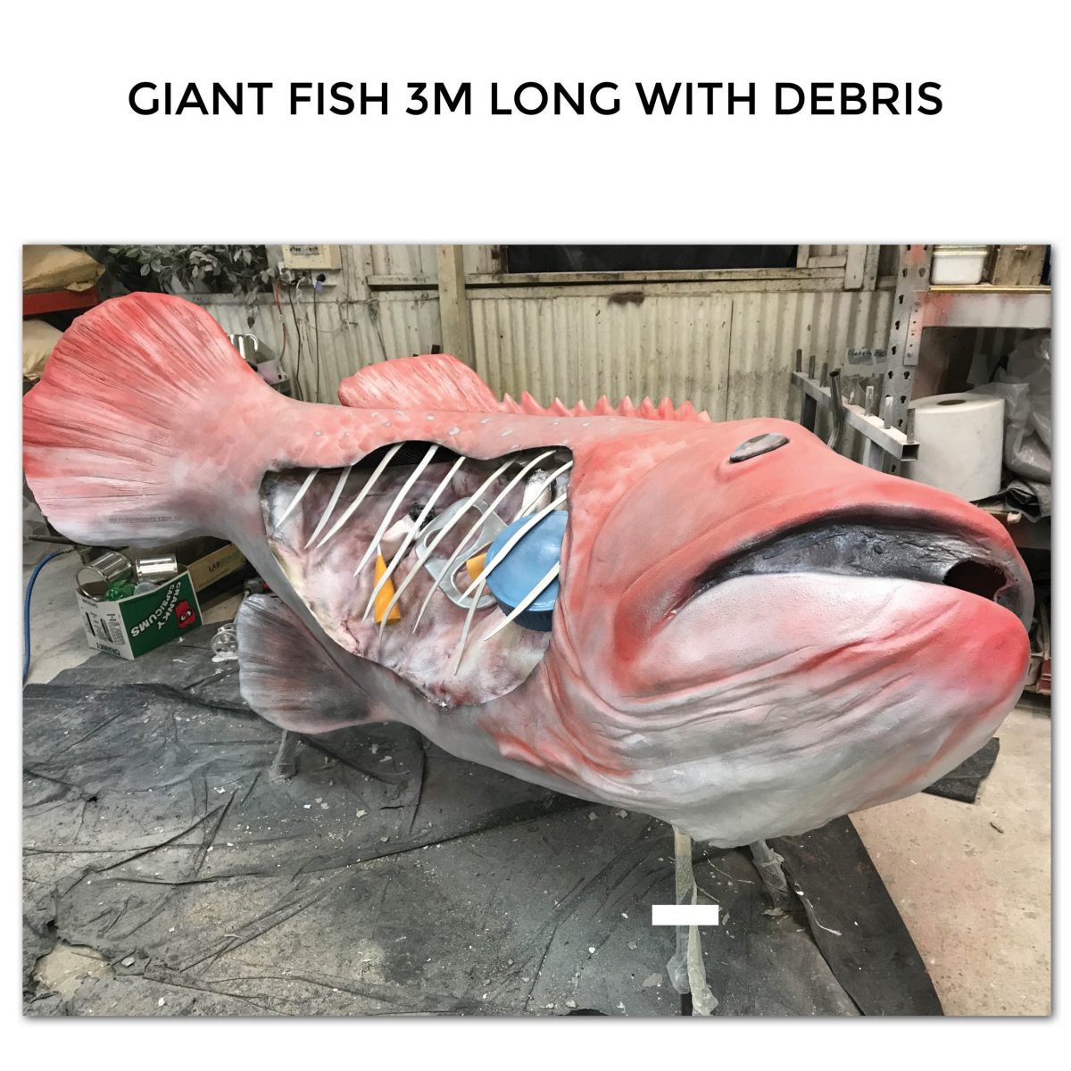 Natureworks Australia Fish 3m long with pollution debris- Completed angle view