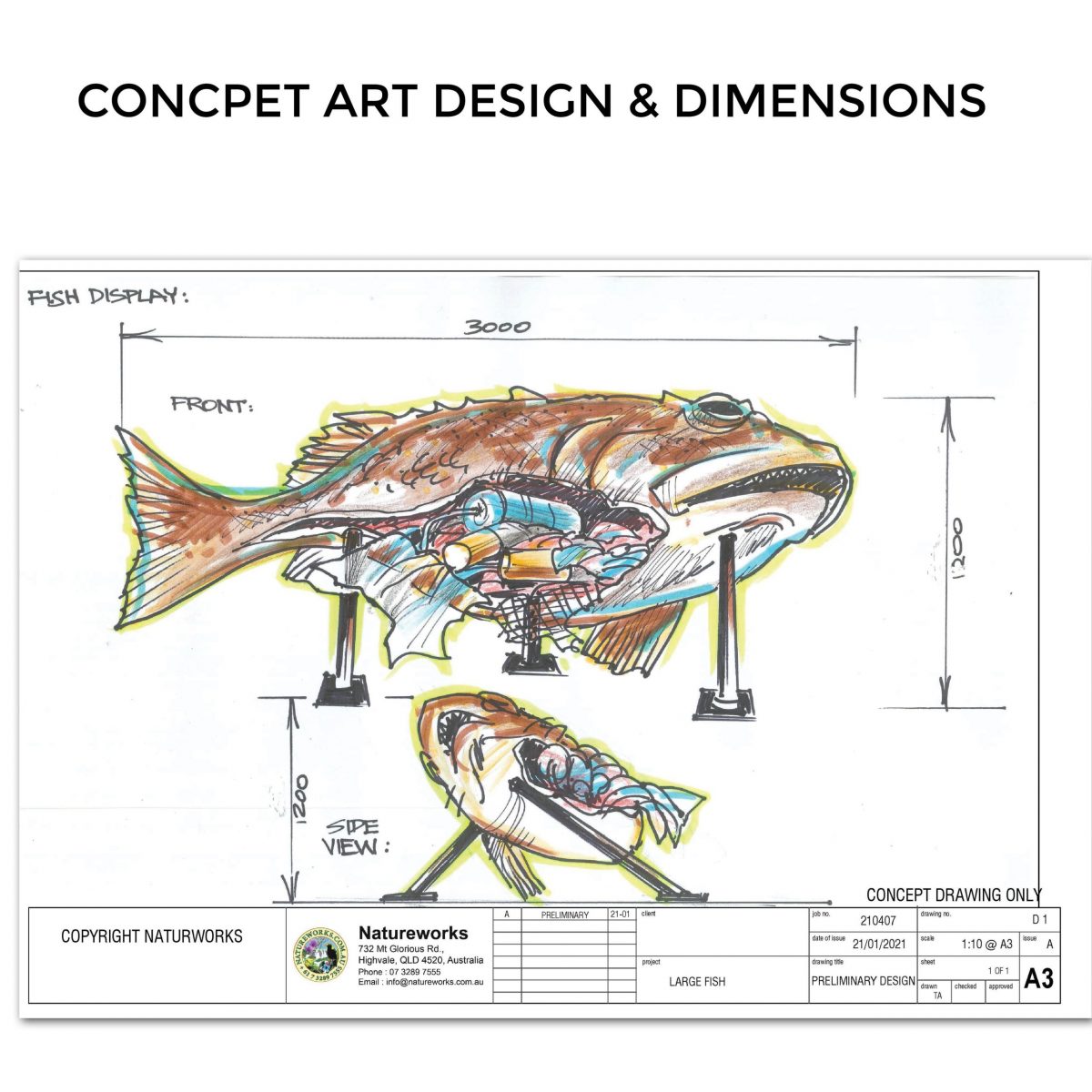 Natureworks Australia Fish 3m long with pollution debris- Concept art drawing - with dimensions