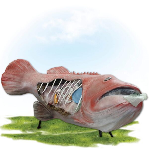 Fish 3m long with pollution debris- on display stand