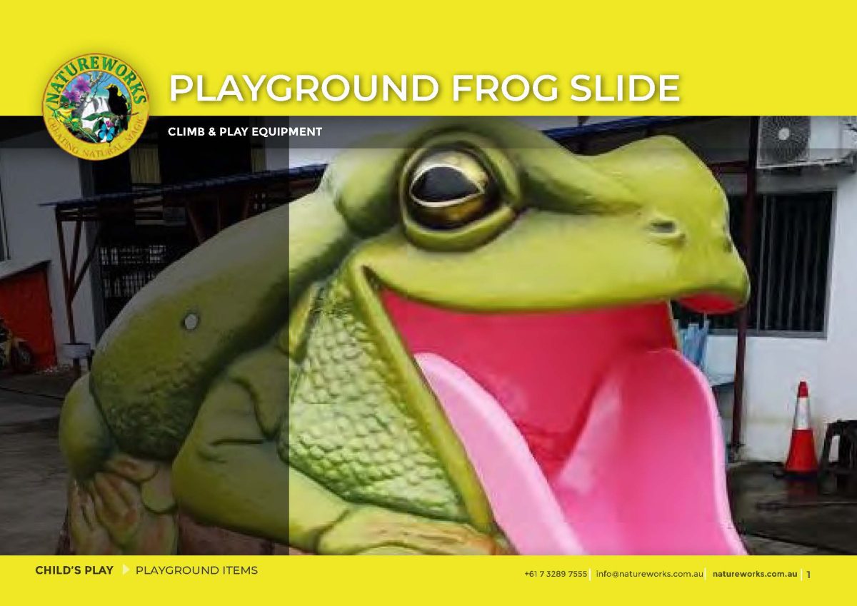 Natureworks Australia Natureworks-Australian-Green-Tree-Frog-Slide-Climb-Play-Playground-Product
