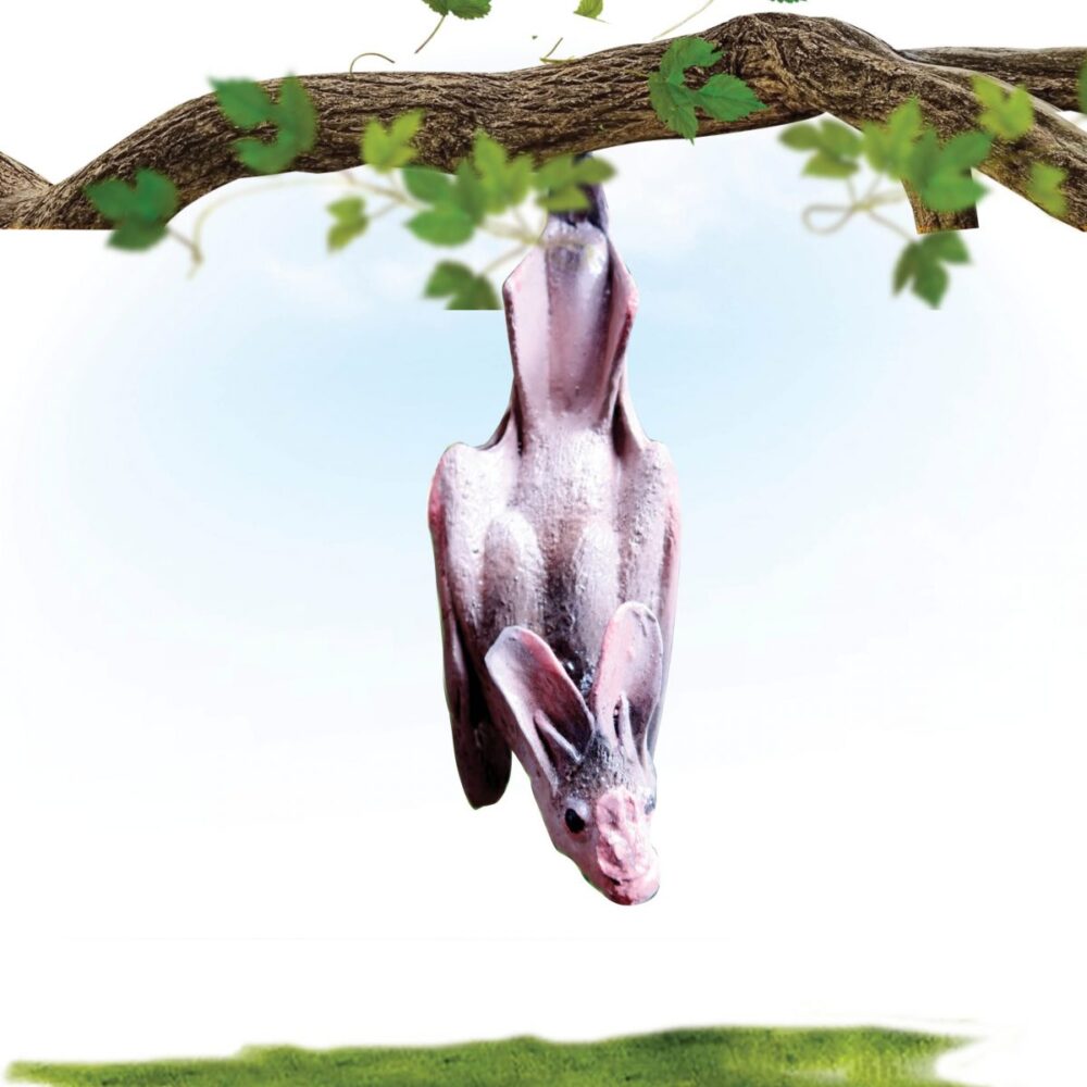 Ghost Bat - wings closed - hanging- shown on tree branch