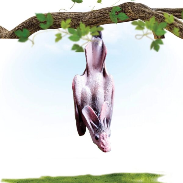 Ghost Bat - wings closed - hanging- shown on tree branch