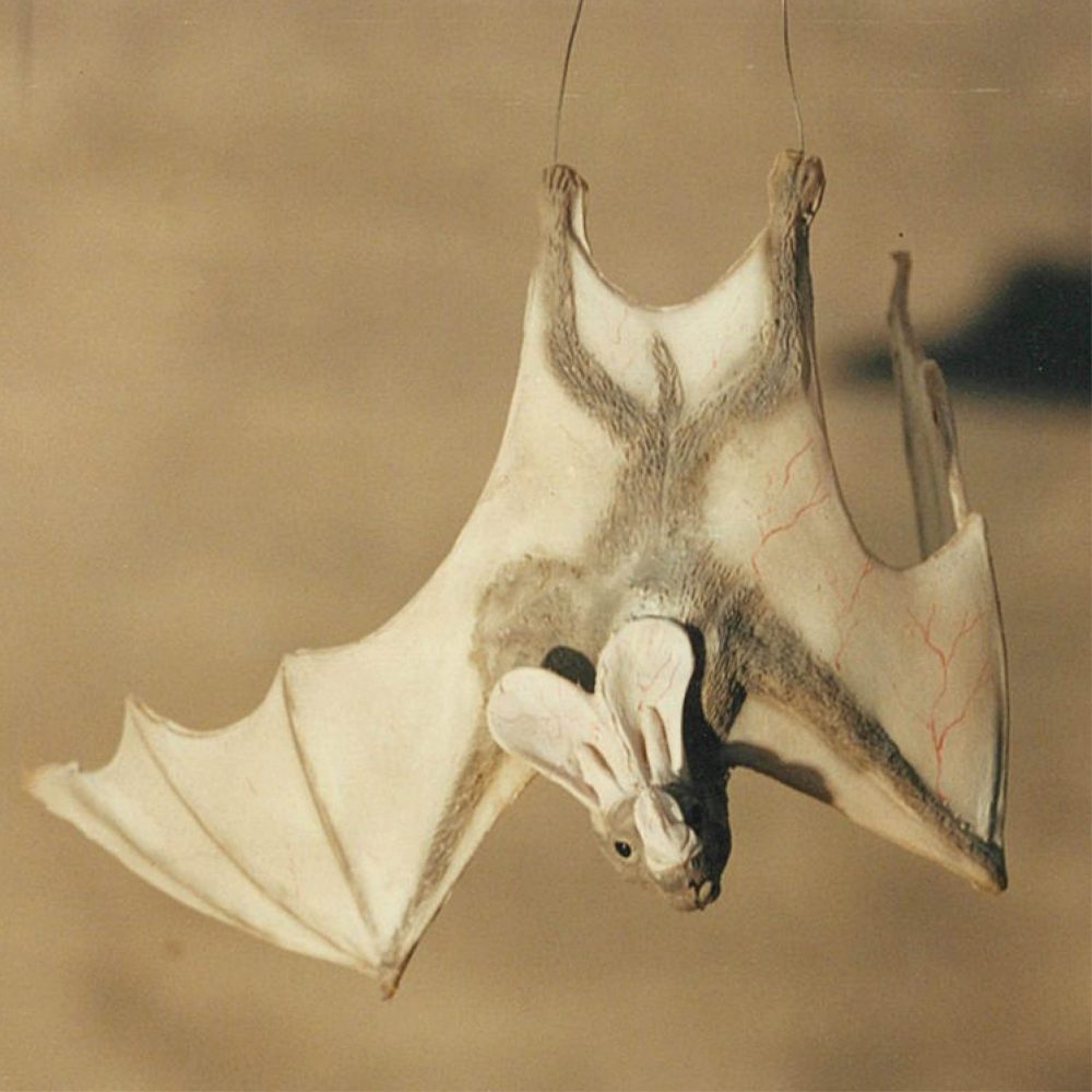 Ghost bat - hanging wings open - Creamy white colour_shown hanging with wire attached to feet