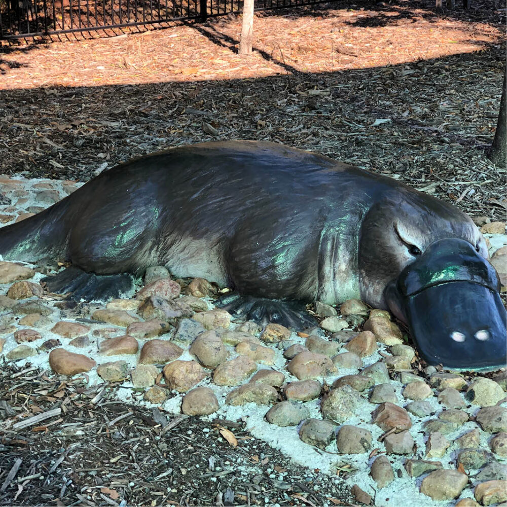 Natureworks Platypus 2.2m - shown at Camira playground -200017