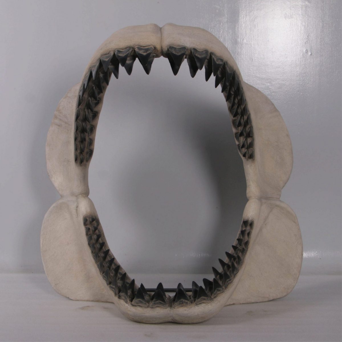 Megalodon Jaw - Prehistoric Shark 50inch Sculptures In Australia