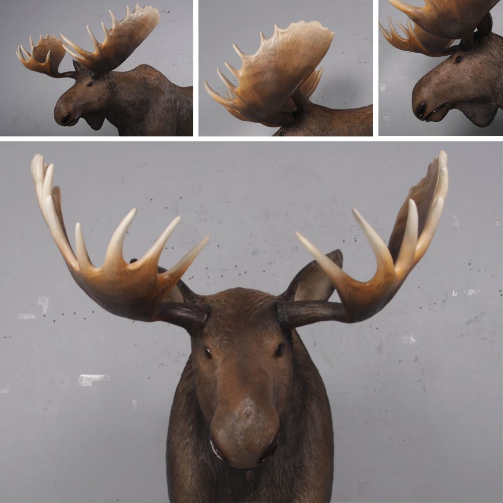 Moose standing - Life-size_brown with antlers- forest animal - Various View