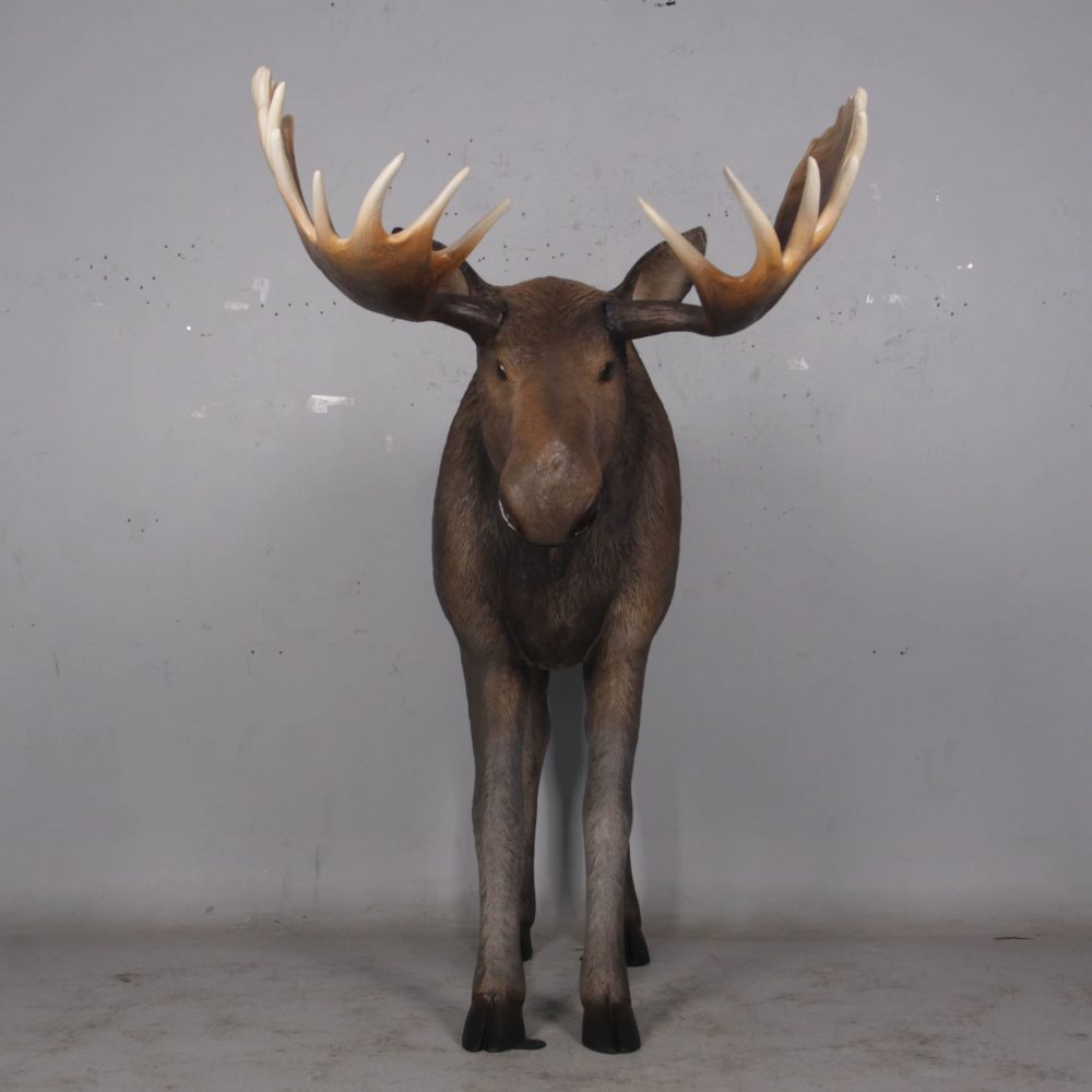 Moose standing - Life-size_brown with antlers- forest animal - front view