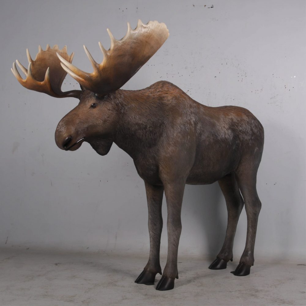 Moose standing - Life-size_brown with antlers- forest animal -side angle view