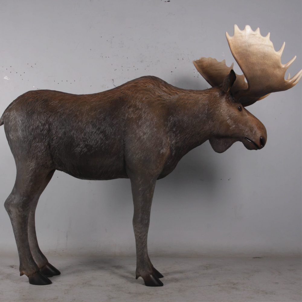 Moose standing - Life-size_brown with antlers- forest animal -side view