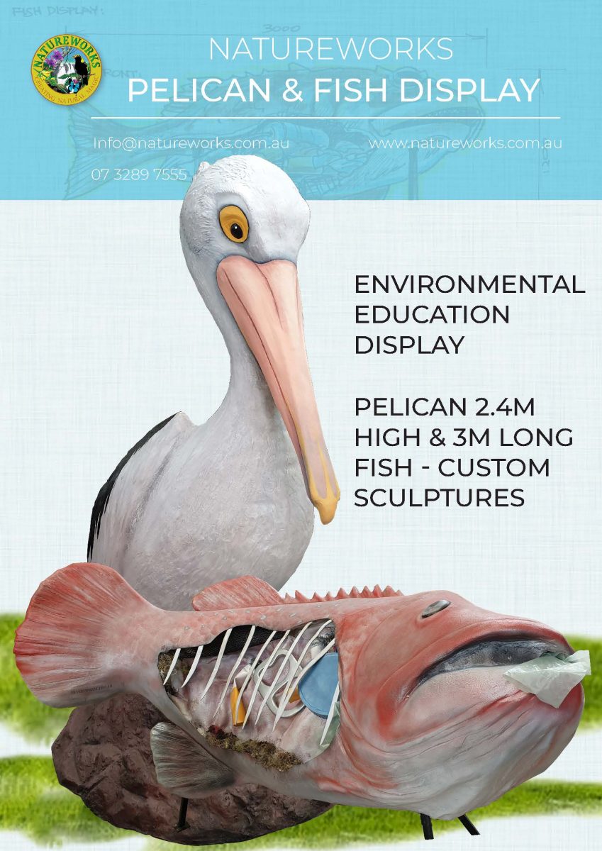 Natureworks Australia Pelican & fish polluted