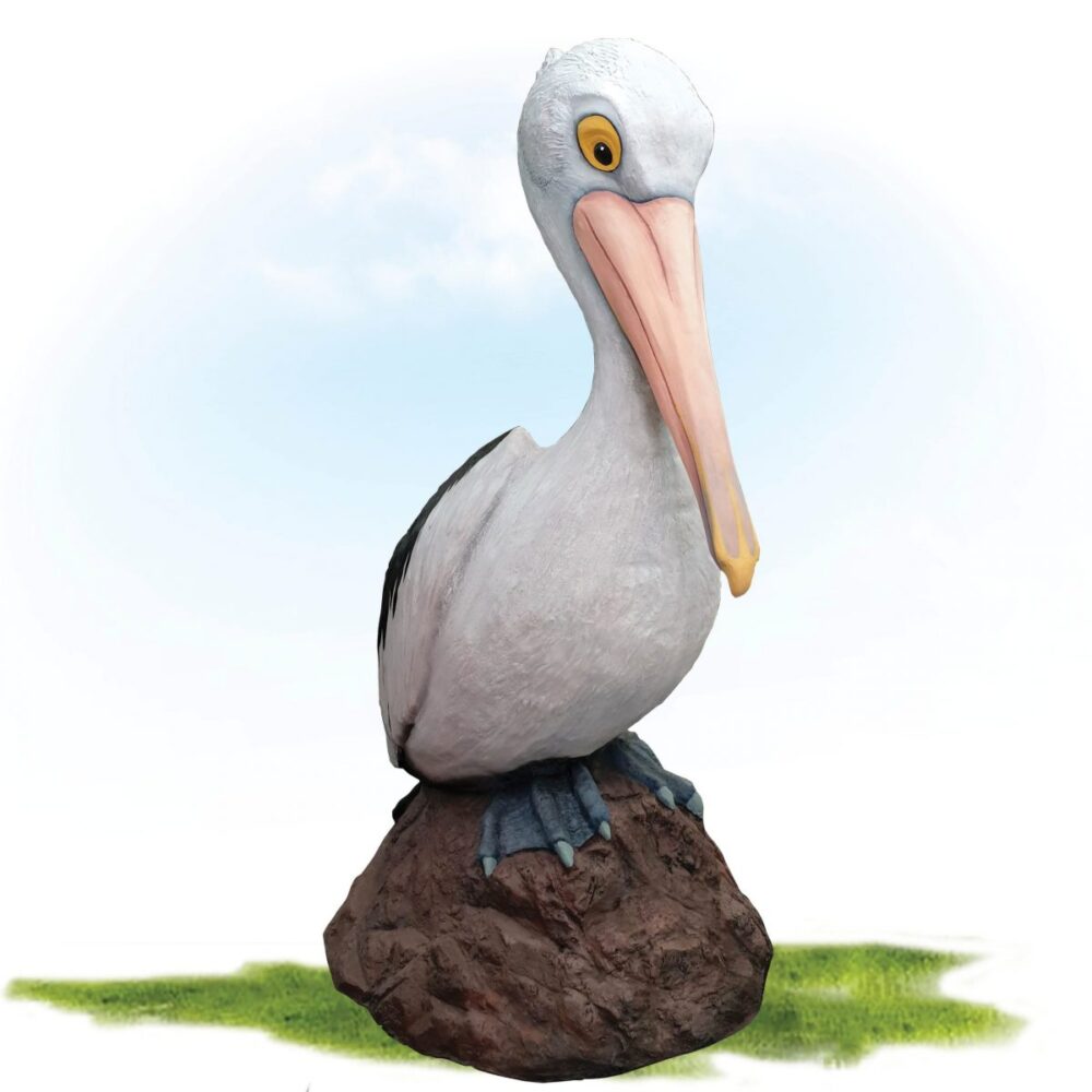 Pelican 2_5m on Bommie