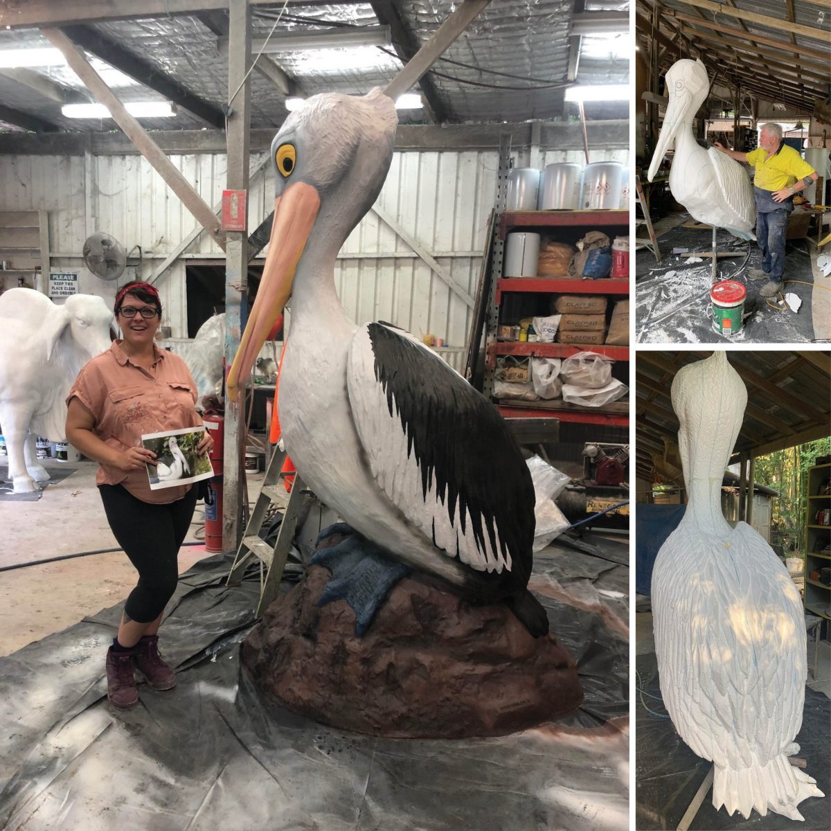 Natureworks Australia Pelican 2_5m on Bommie