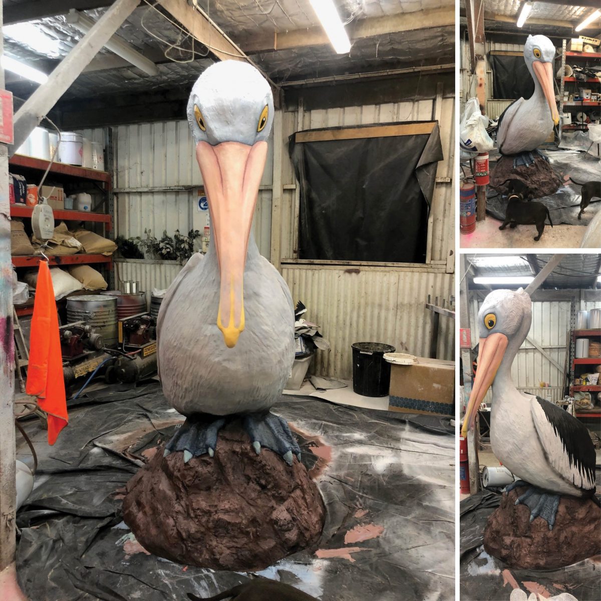 Natureworks Australia Pelican 2_5m on Bommie