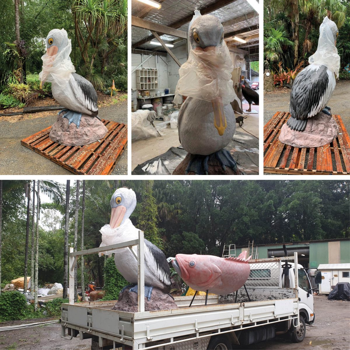 Natureworks Australia Pelican 2_5m on Bommie_with plastic bag around neck