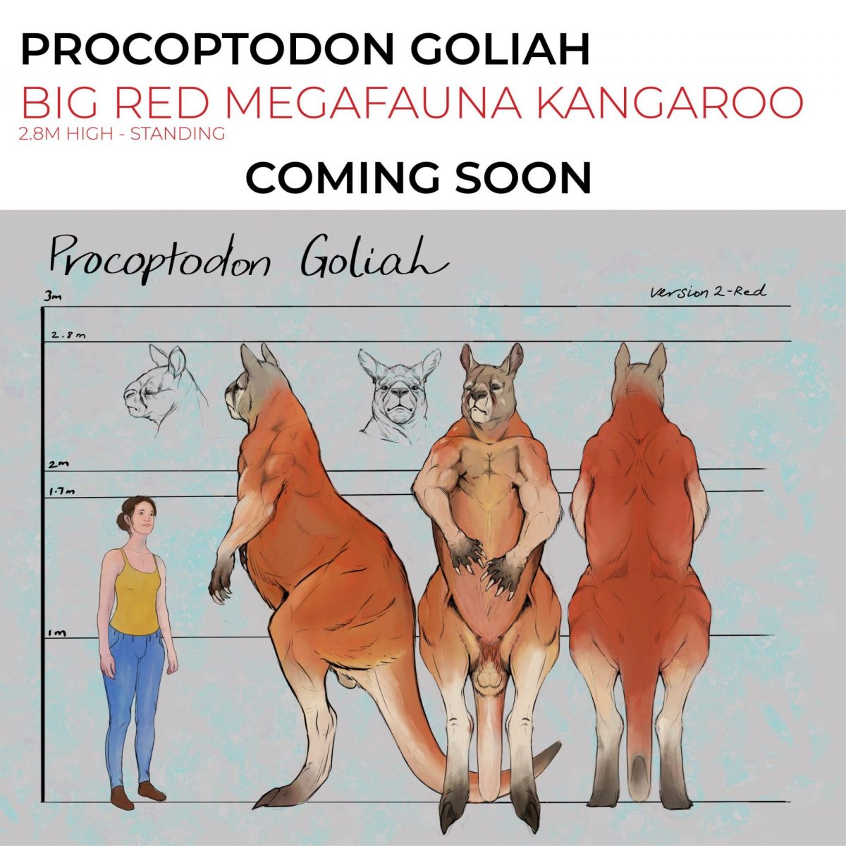 Natureworks Australia Procoptodon Goliah - Big Red Kangaroo 2.8m high - Australian Megafauna - concept art
