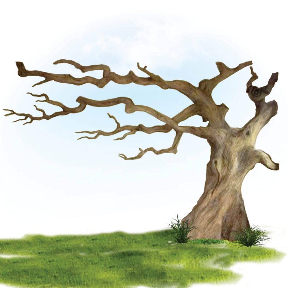 Architectural windswept tree – wall mount Ideal decoration to help bring the outside