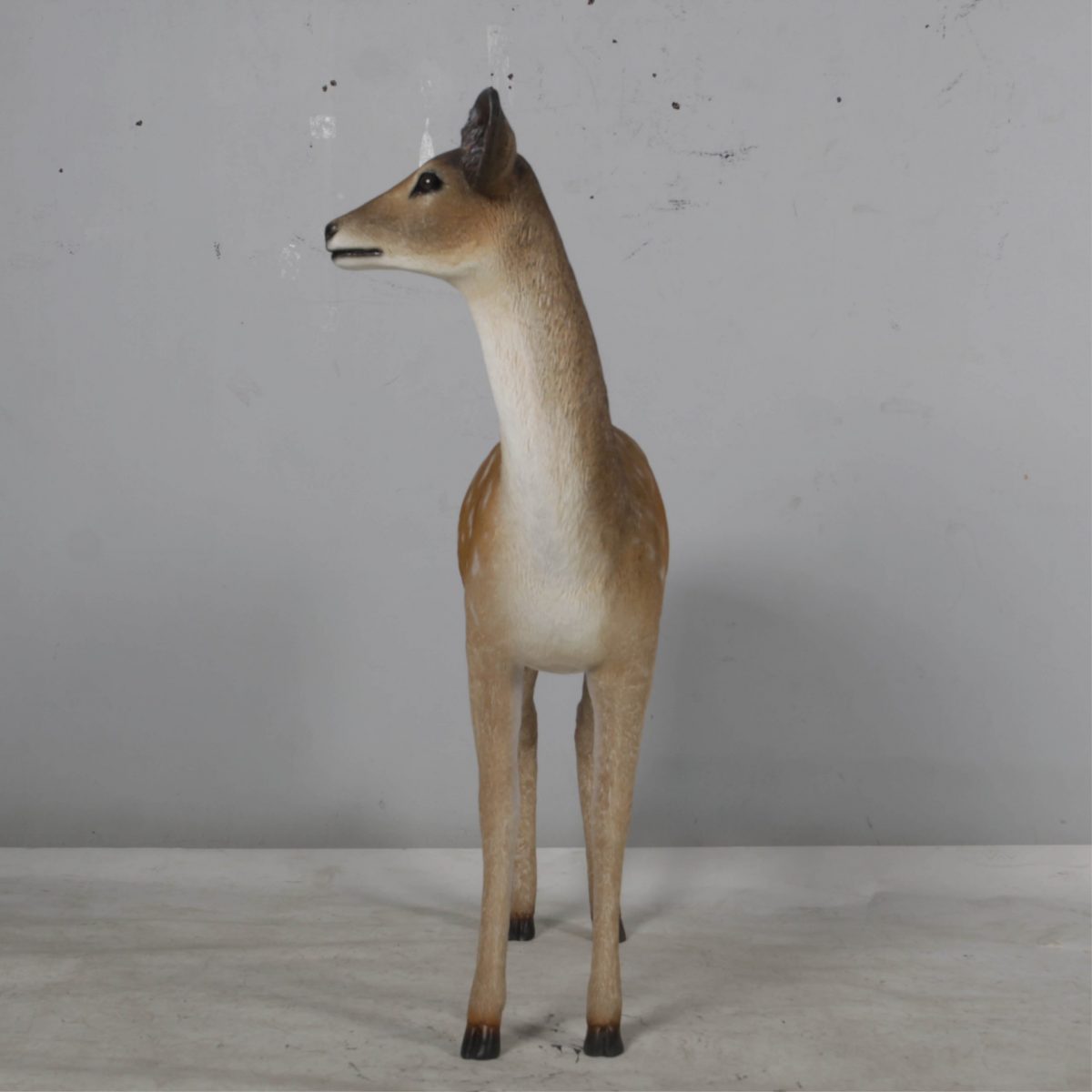 Natureworks Australia Deer doe – Life-size fallow deer in a standing pose natural with white chest 190015- front view
