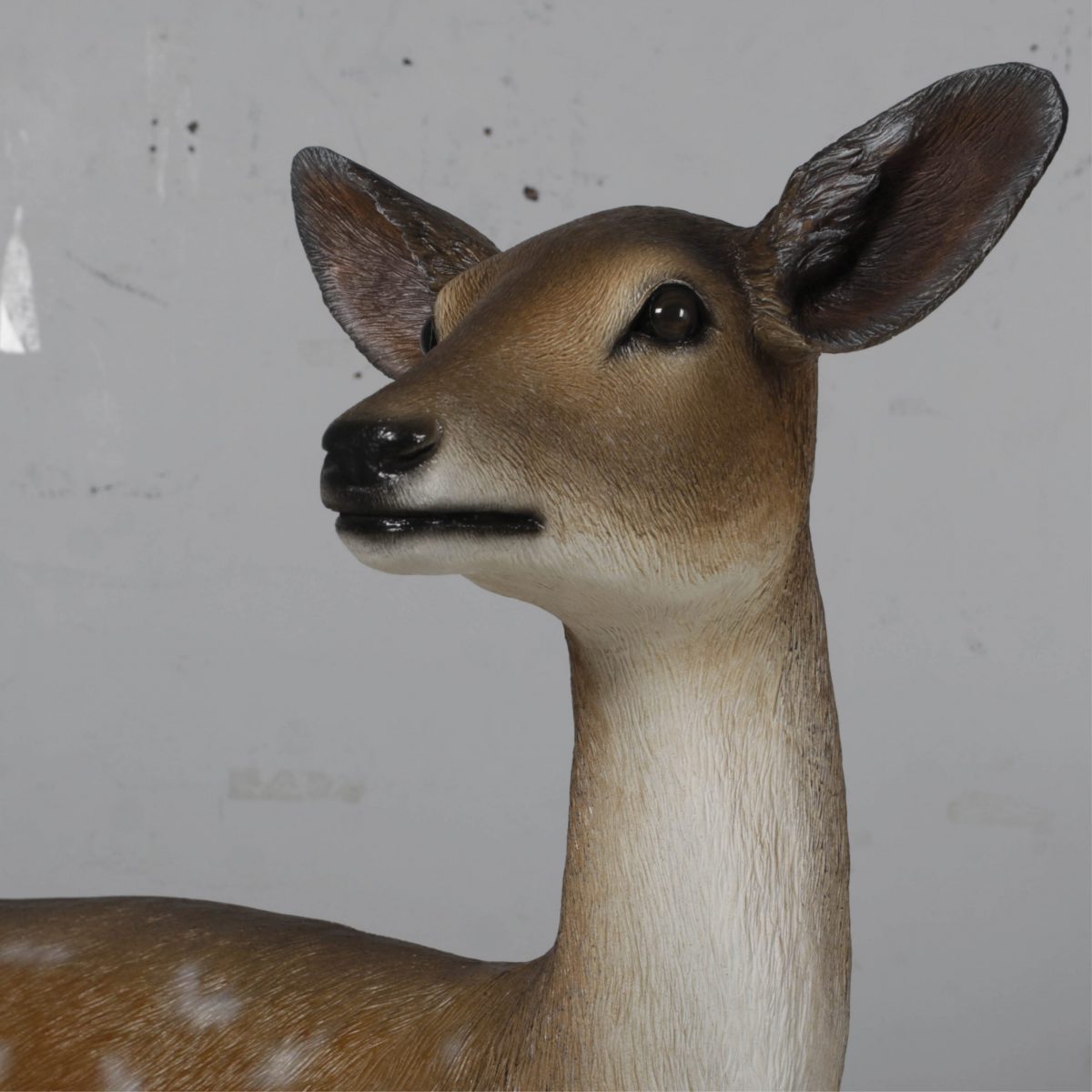 Natureworks Australia Deer doe – Life-size fallow deer in a standing pose natural with white chest 190015