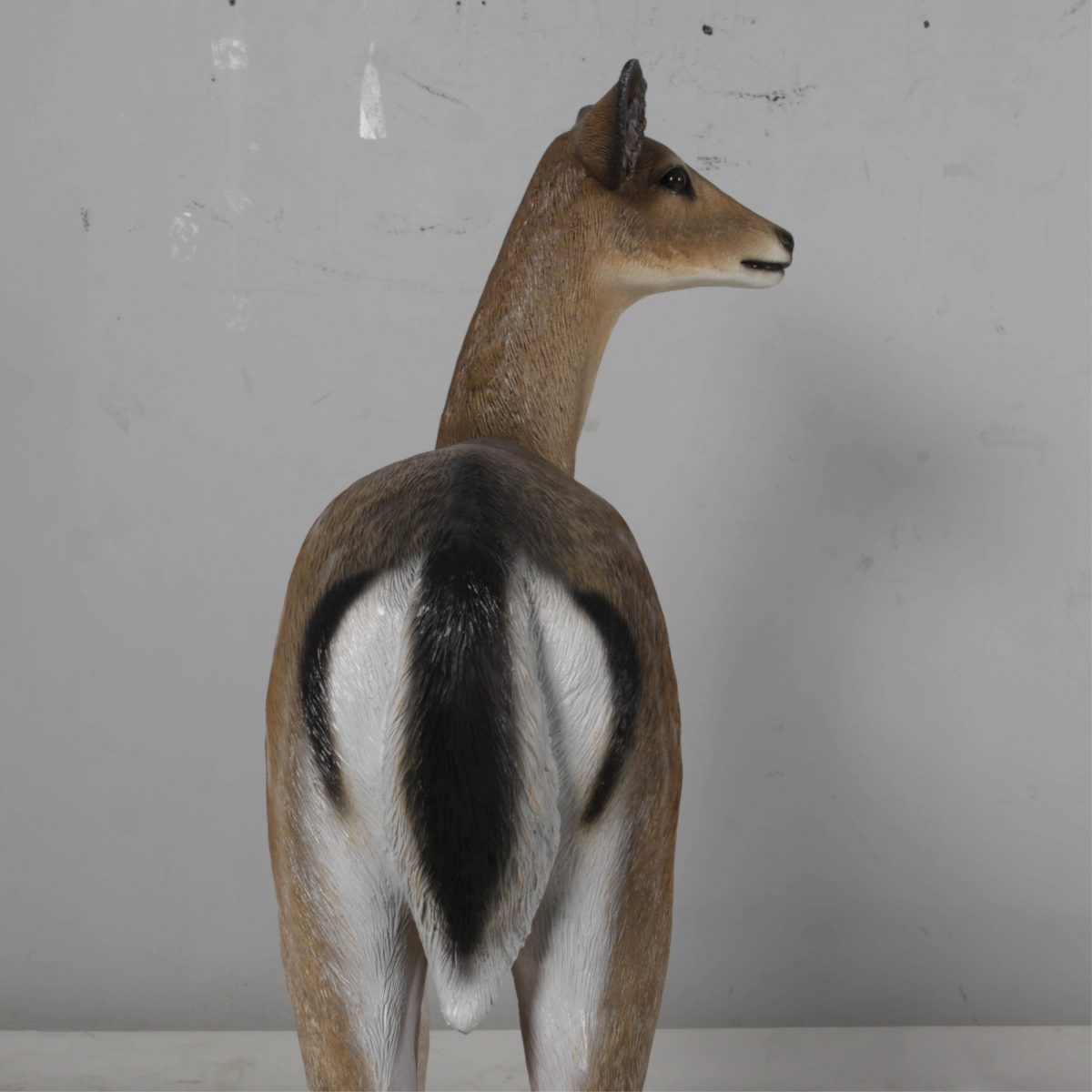 Natureworks Australia Deer doe – Life-size fallow deer in a standing pose natural with white chest 190015 - rear view