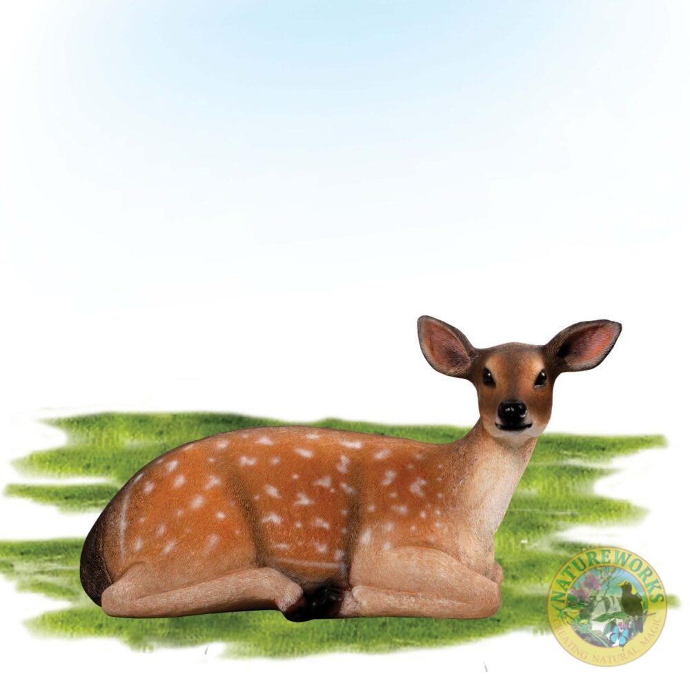 Fallow Daer Fawn - lyng