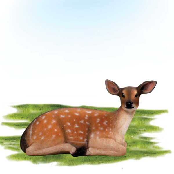 Fallow Daer Fawn - lyng