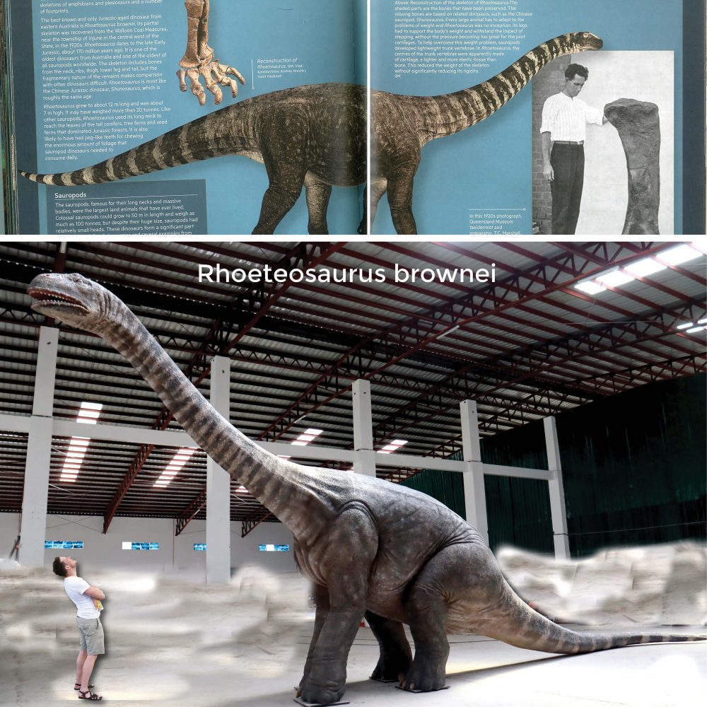 Rhoteosaurus brownei giant dinosaur for sale - from Natureworks in Brisbane