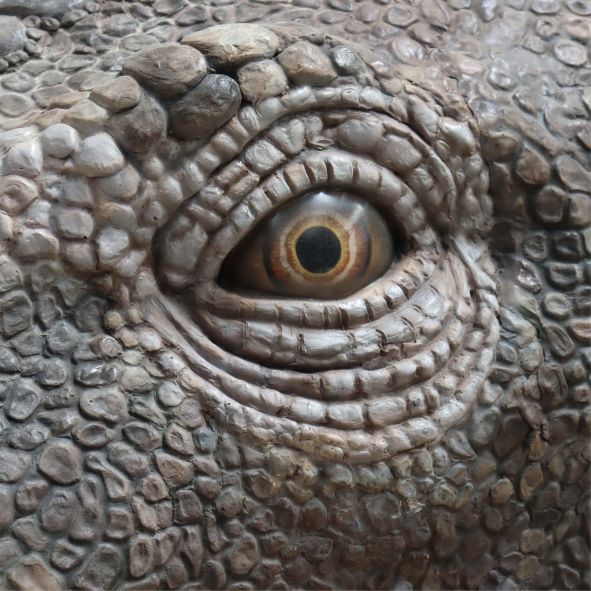 Natureworks Australia Rhoetosaurus brownie dinosaur - giant 13.5m long - Now available