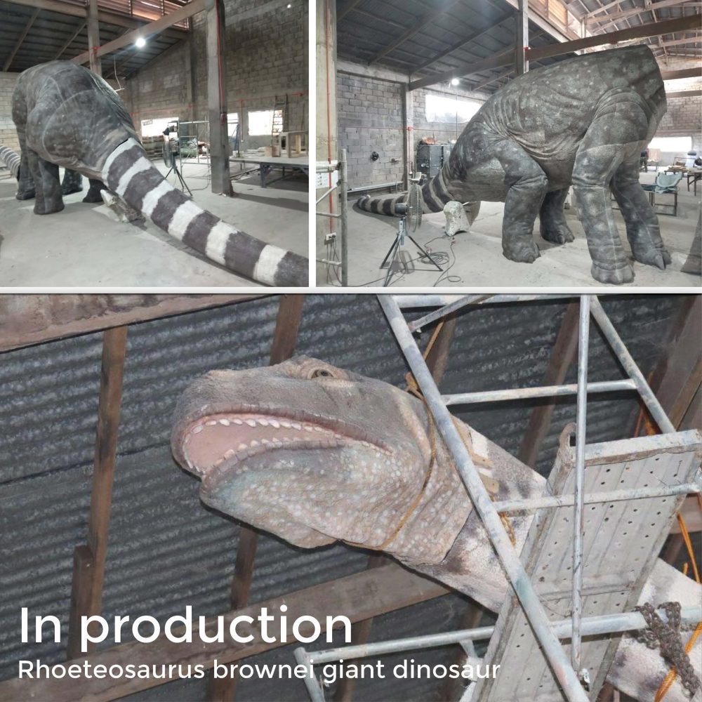 Rhoetosaurus brownie - 13.5m dinosaur for sale – Coming Soon