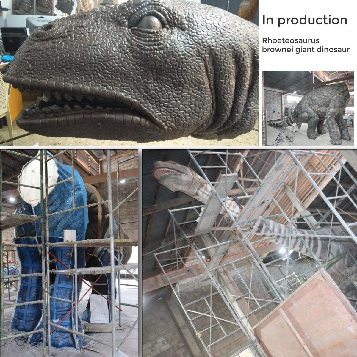 Natureworks Australia Rhoteosaurus brownei giant dinosaur for sale - fshowing during production