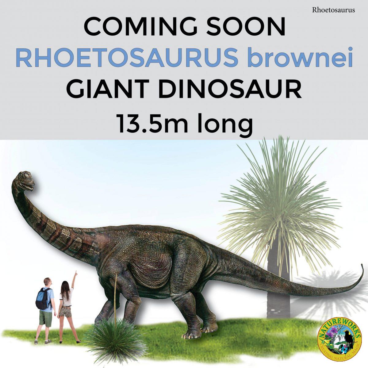 Natureworks Australia Giant dinosaur long–Rhoetosaurus brownie