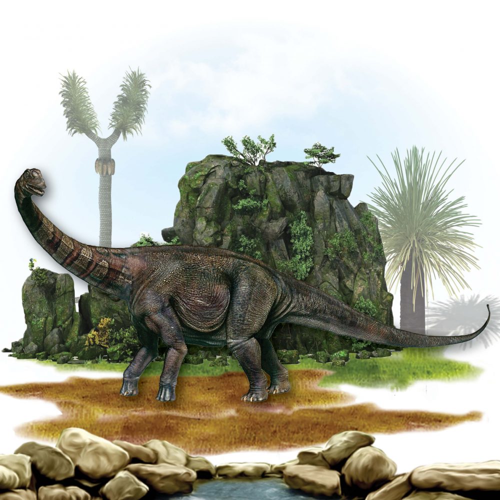 Rhoteosaurus brownei giant dinosaur - 13.5m long