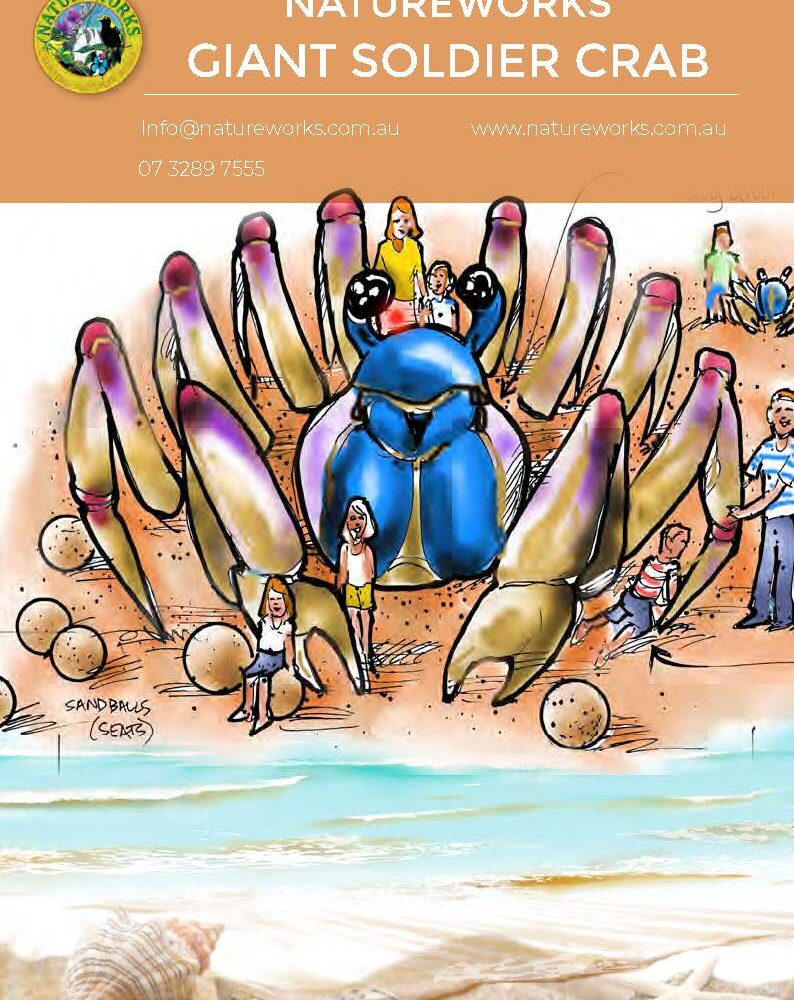 Natureworks Australia Soldier Crab - Giant Playground Feature - concept Art