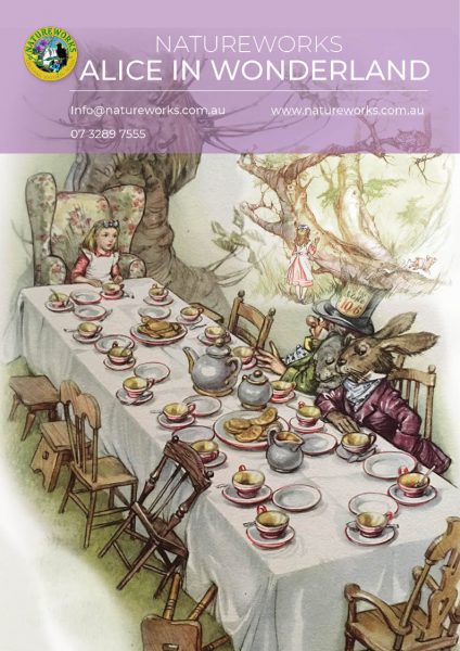 Alice in Wonderland Catalogue