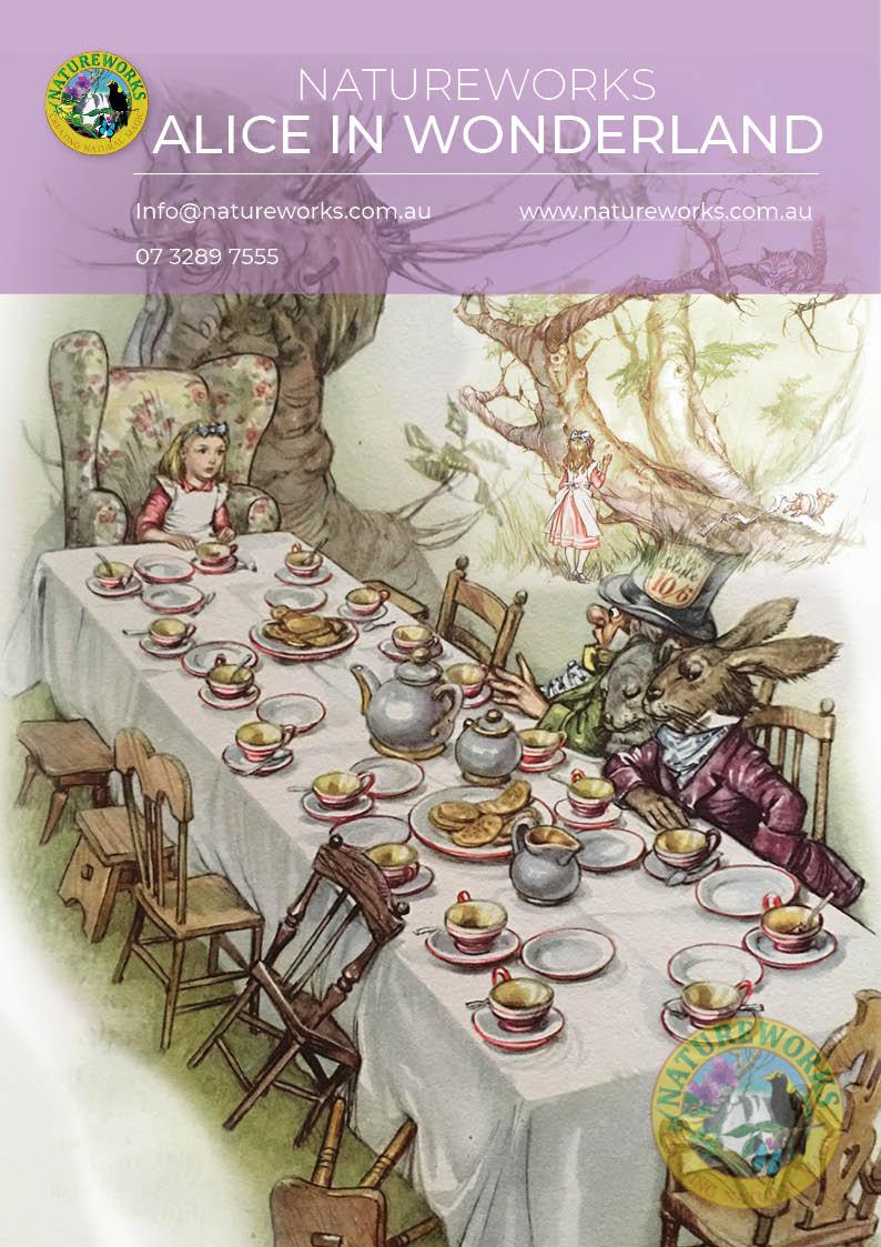 Alice in Wonderland Catalogue