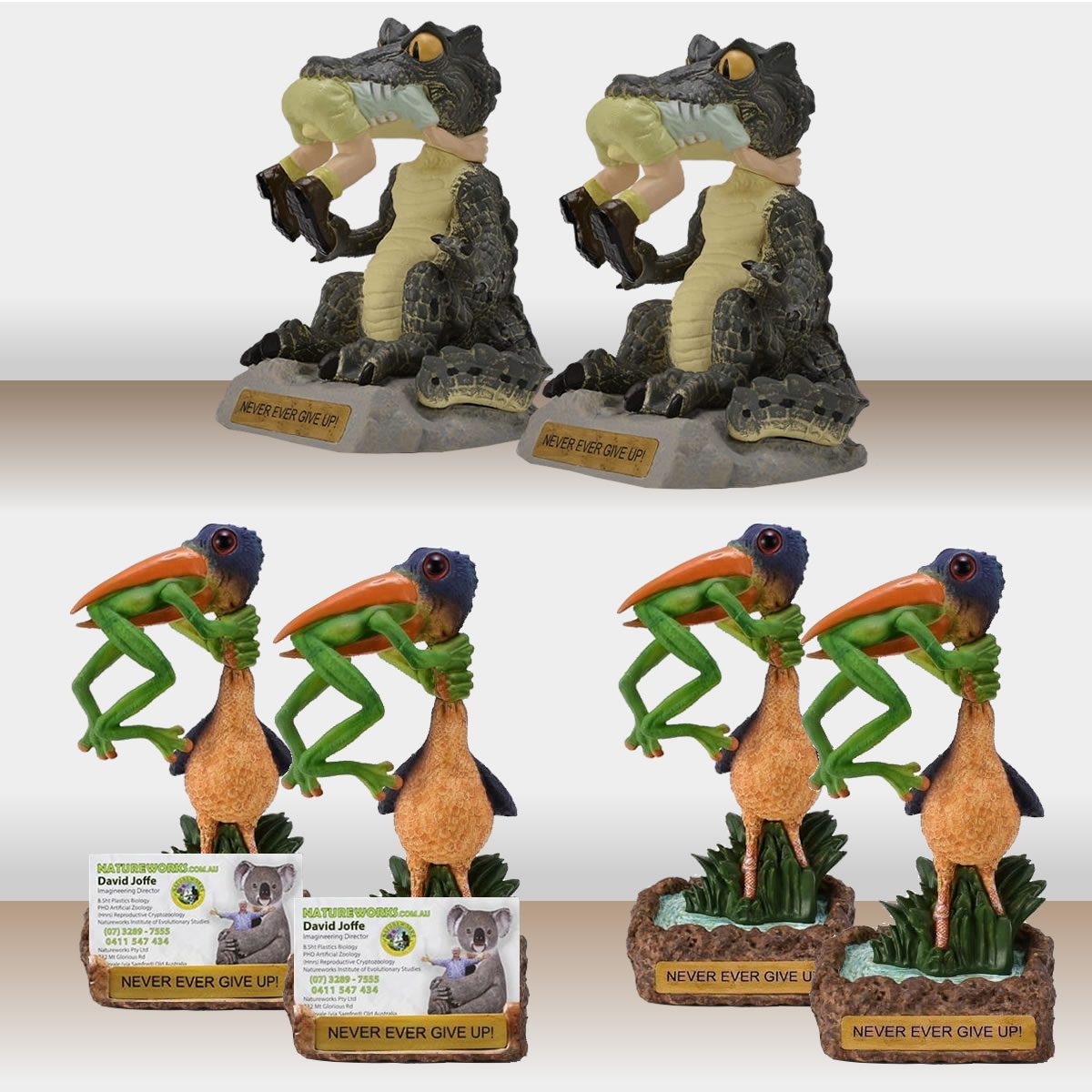 Funny Figurines Set - Croc, Bird, Frog - Never Ever Give Up! - Natureworks  Australia