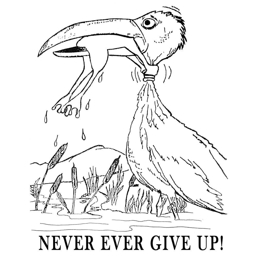 Natureworks Australia Never Ever Give Up - Original Concept Drawing