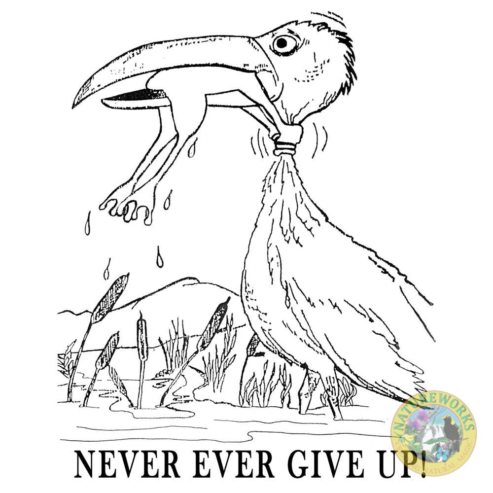 Natureworks Australia Never Ever Give Up - Original Concept Drawing