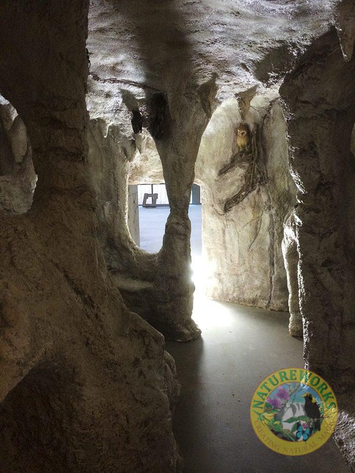 Cave interior showing creatures