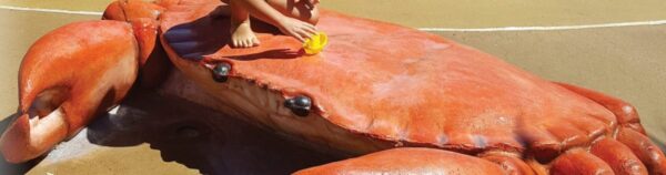 Giant Mud Crab - Broadwater water park - gold coast