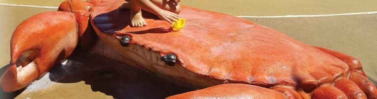 Giant Mud Crab - Broadwater water park - gold coast