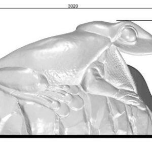 Natureworks Australia Frog Slide 3D software view