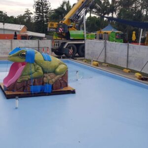 Natureworks Australia Australian Green Tree Frog slide - during installation