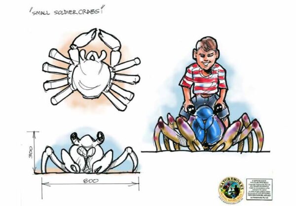 Natureworks Australia Giant soldier crab - smaller version