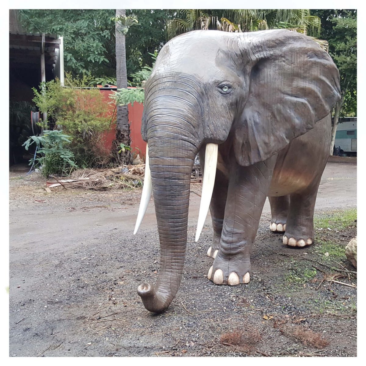 Natureworks Australia African Elephant life-size - (8ft high) statue