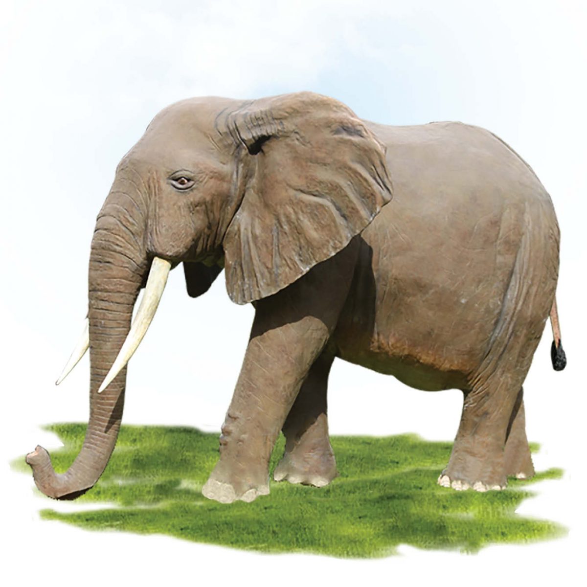 Natureworks Australia African Elephant life-size - (8ft high) statue