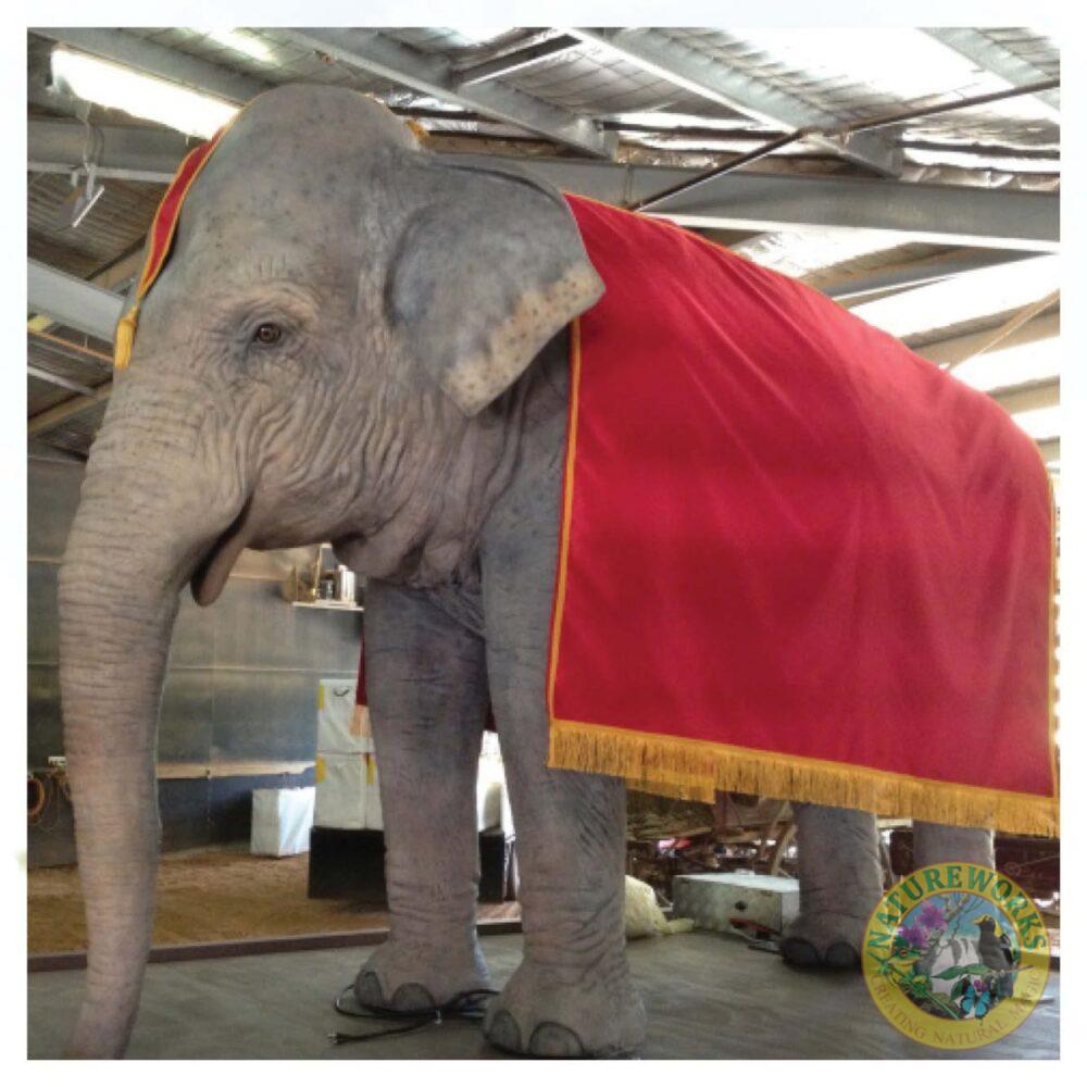 Mammals Safari animals Elephants Elephant Indian 7.5 ft