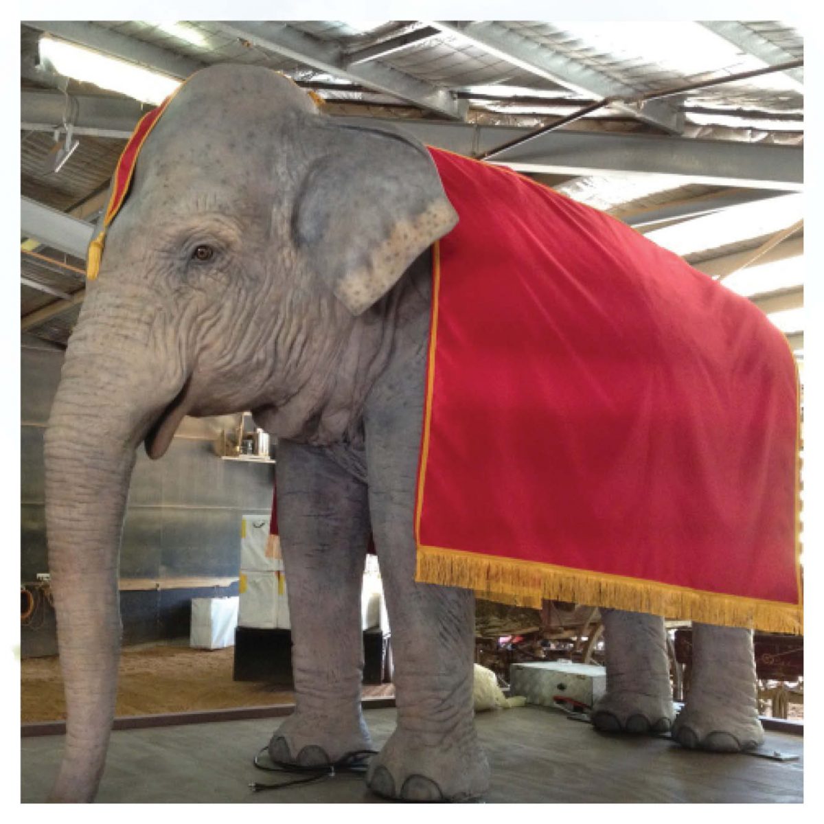 Natureworks Australia Mammals Safari animals Elephants Elephant Indian 7.5 ft