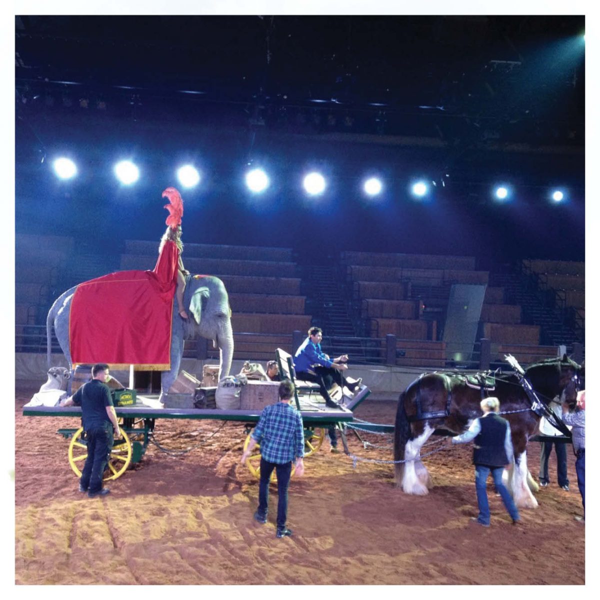 Natureworks Australia Indian (Asian) Elephant Adult 7.5ft life-size sculpture