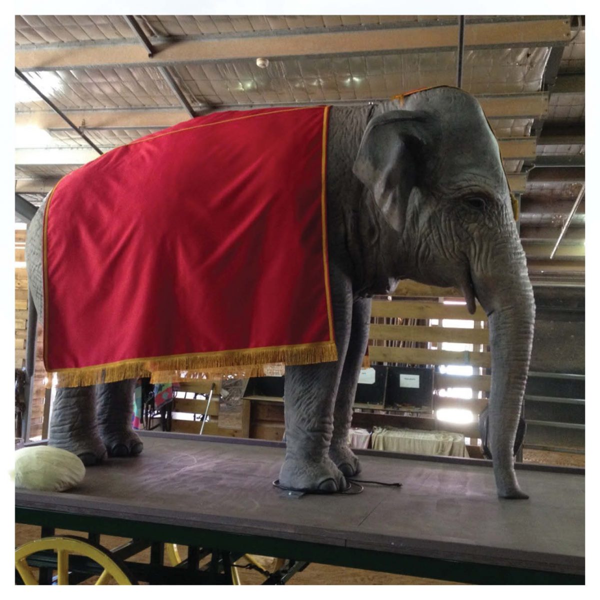 Natureworks Australia Mammals Safari animals Elephants Elephant Indian 7.5 ft